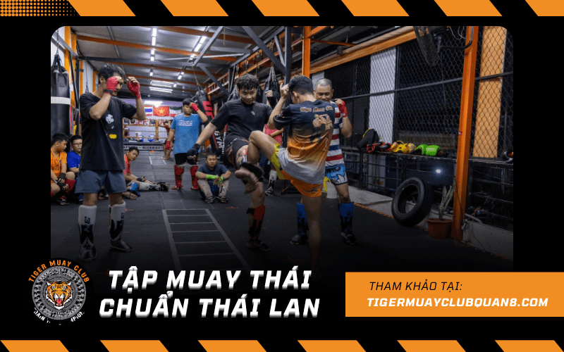 tập muay thái