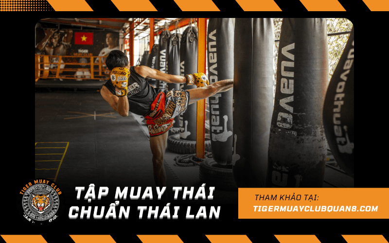 tập muay thái